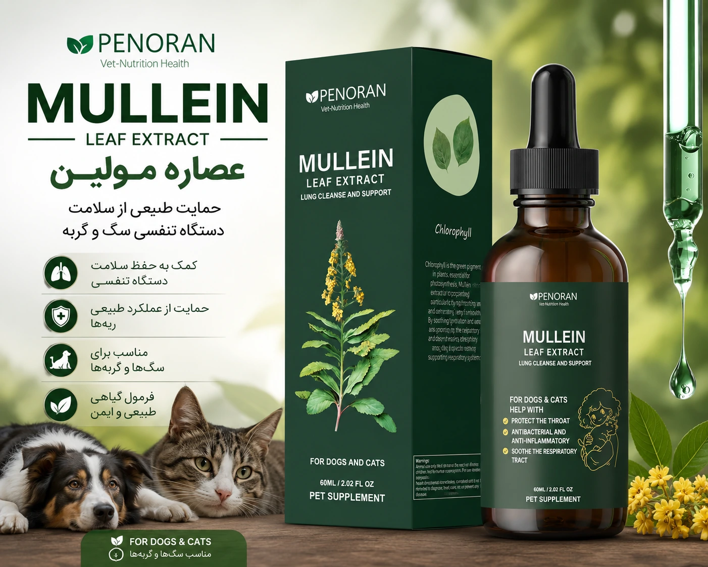 عصاره مولین (Mullein) سگ و گربه | مکمل طبیعی حمایت از دستگاه تنفسی